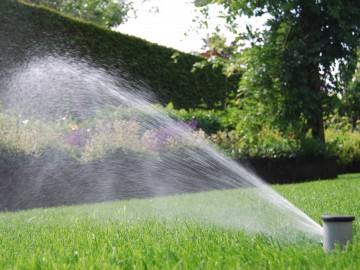 Création de votre pelouse : du déroulement du gazon en plaques à l’irrigation